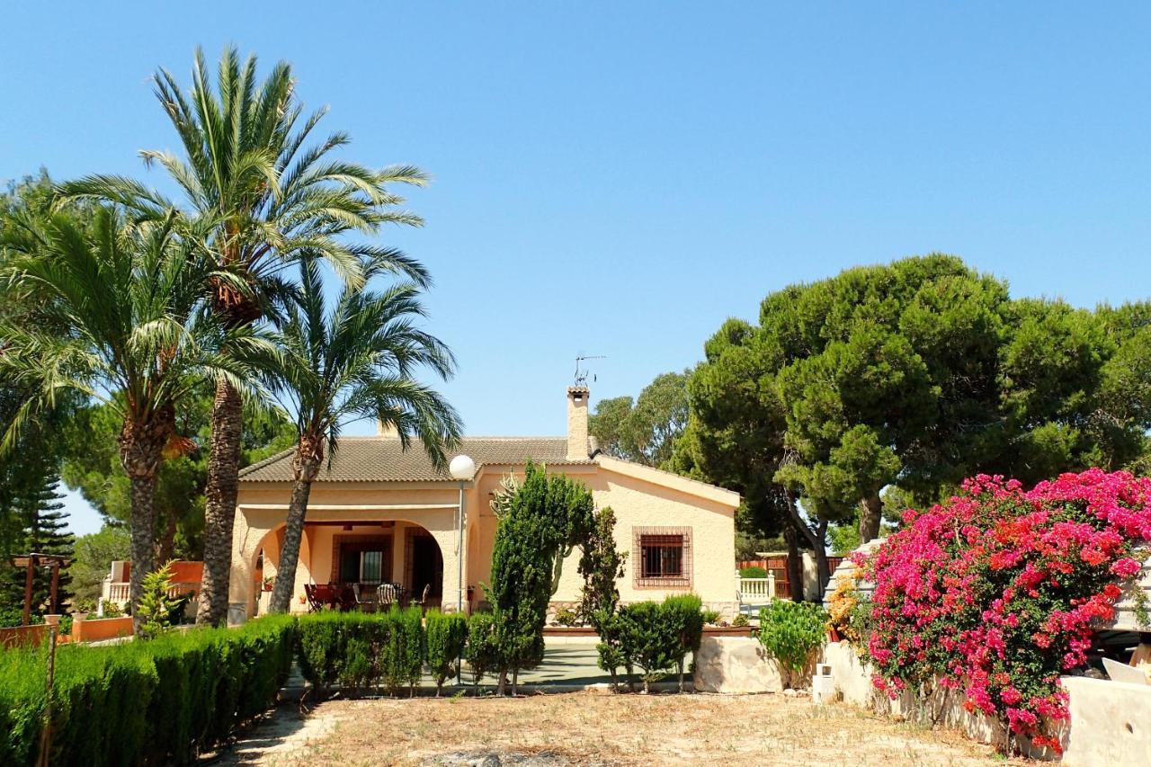 Villa Buganvilla Эльче Экстерьер фото