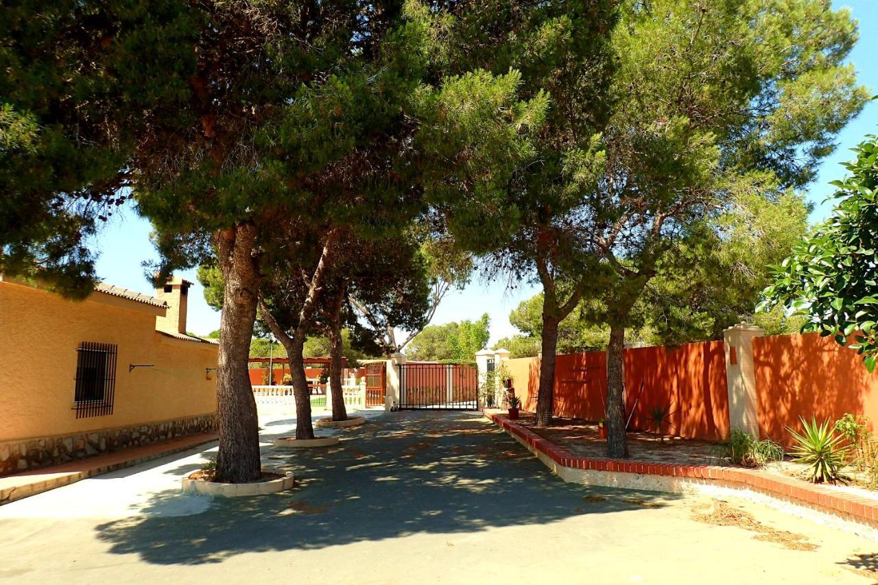 Villa Buganvilla Эльче Экстерьер фото
